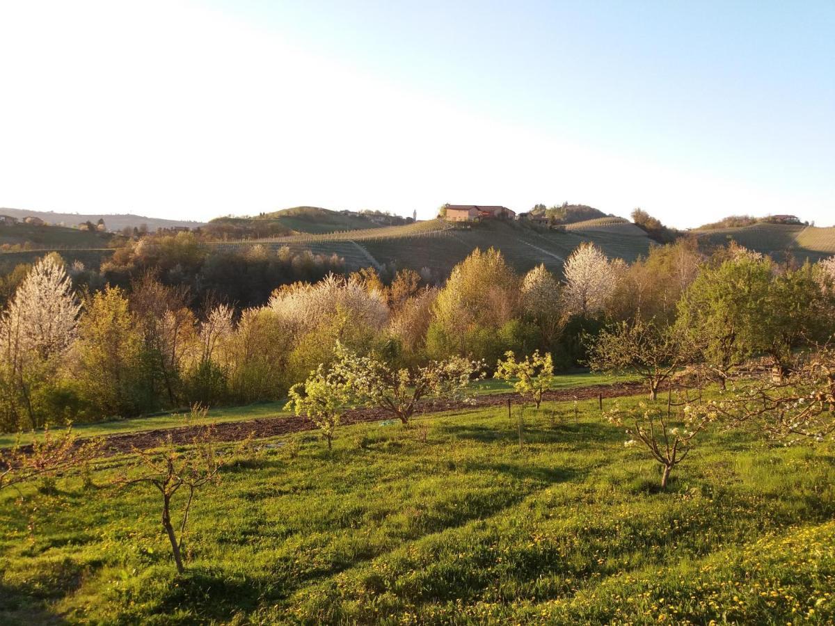 B&B Sant'Anna 21 Monforte D'Alba Eksteriør billede